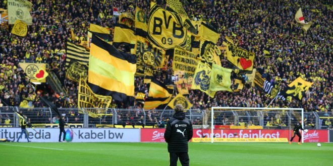 f-tbol-bundesliga-borussia-dortmund-tsg-hoffenheim-05-12-14