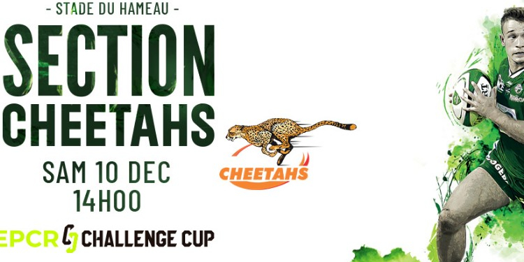 Challenge Cup: Pau vs Cheetahs