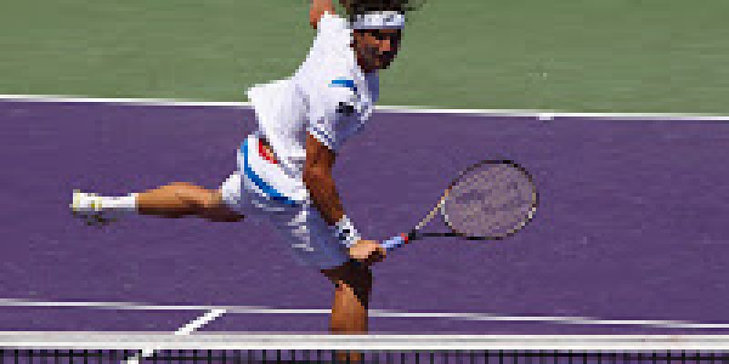 zz-ferrer
